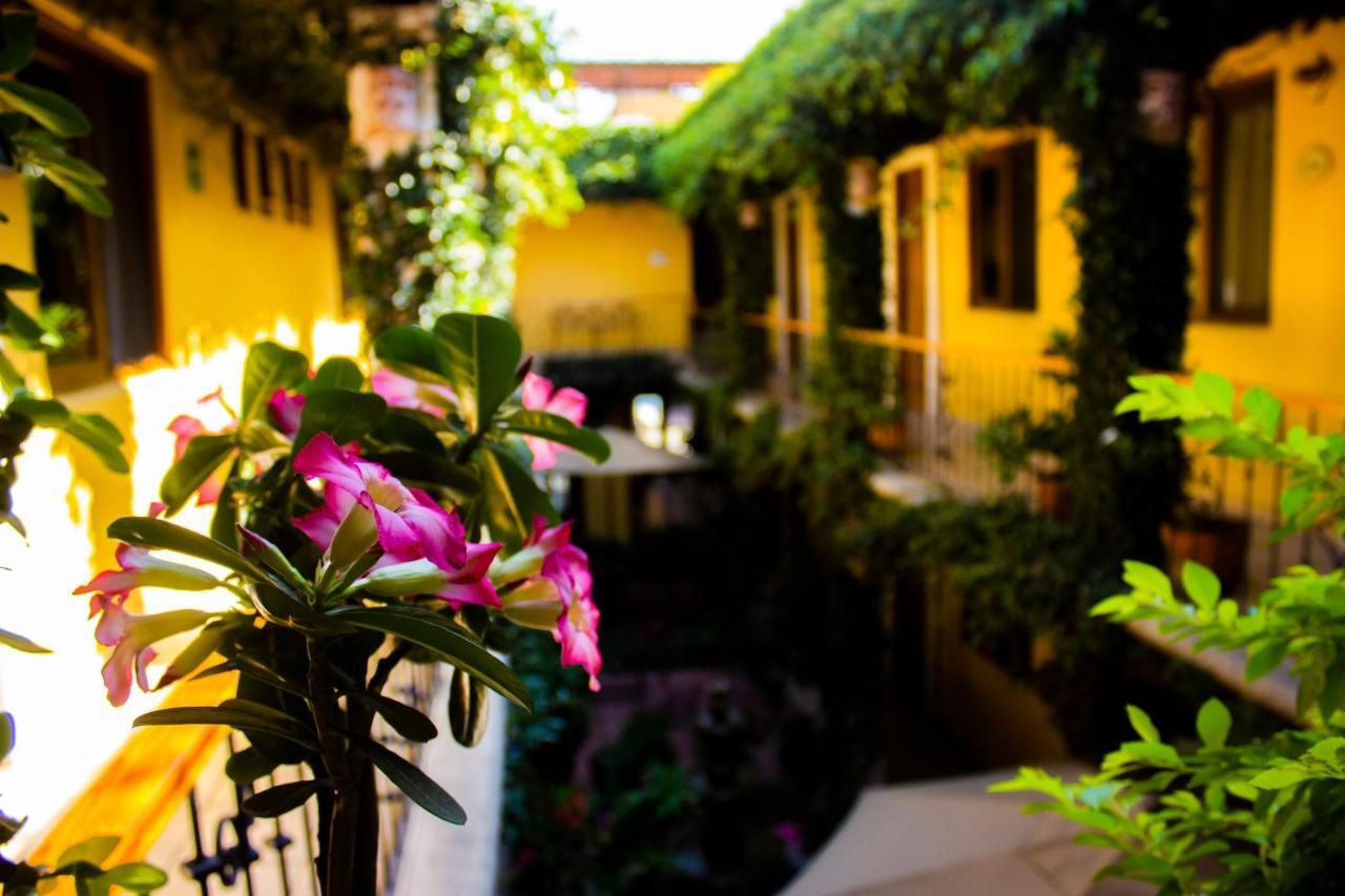 Hotel Dainzu Oaxaca Eksteriør bilde